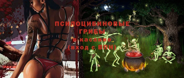 мескалин Осинники