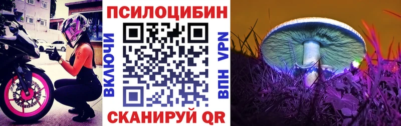 omg вход  Арск  Псилоцибиновые грибы Psilocybine cubensis  наркошоп 